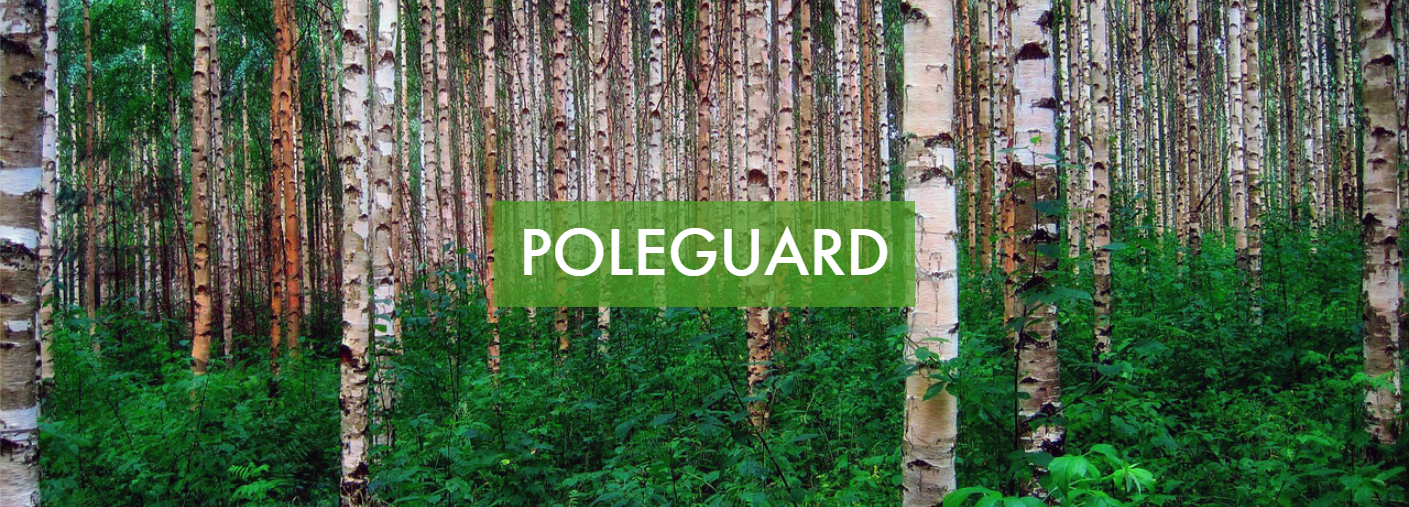 Pollywood Natural: The Future of Pole Protection