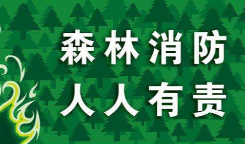 漫畫：關(guān)于森林防火   這些知識(shí)你應(yīng)該知道